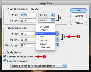 Setting the dimensions